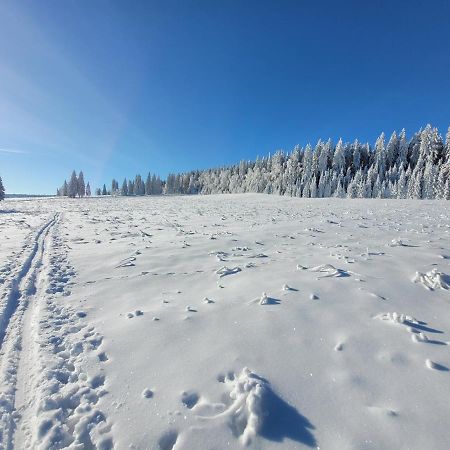 Apartmán Spa Šumava Zdíkov Kültér fotó