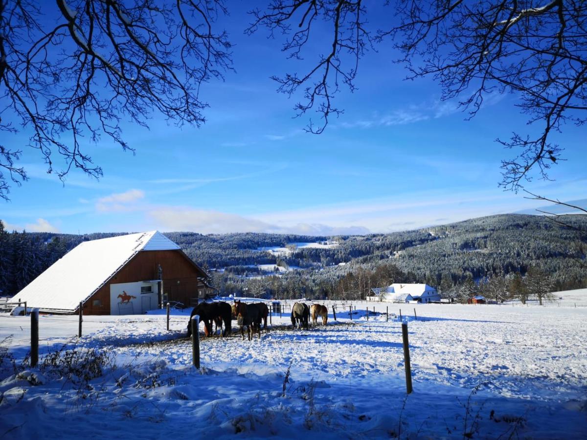 Apartmán Spa Šumava Zdíkov Kültér fotó