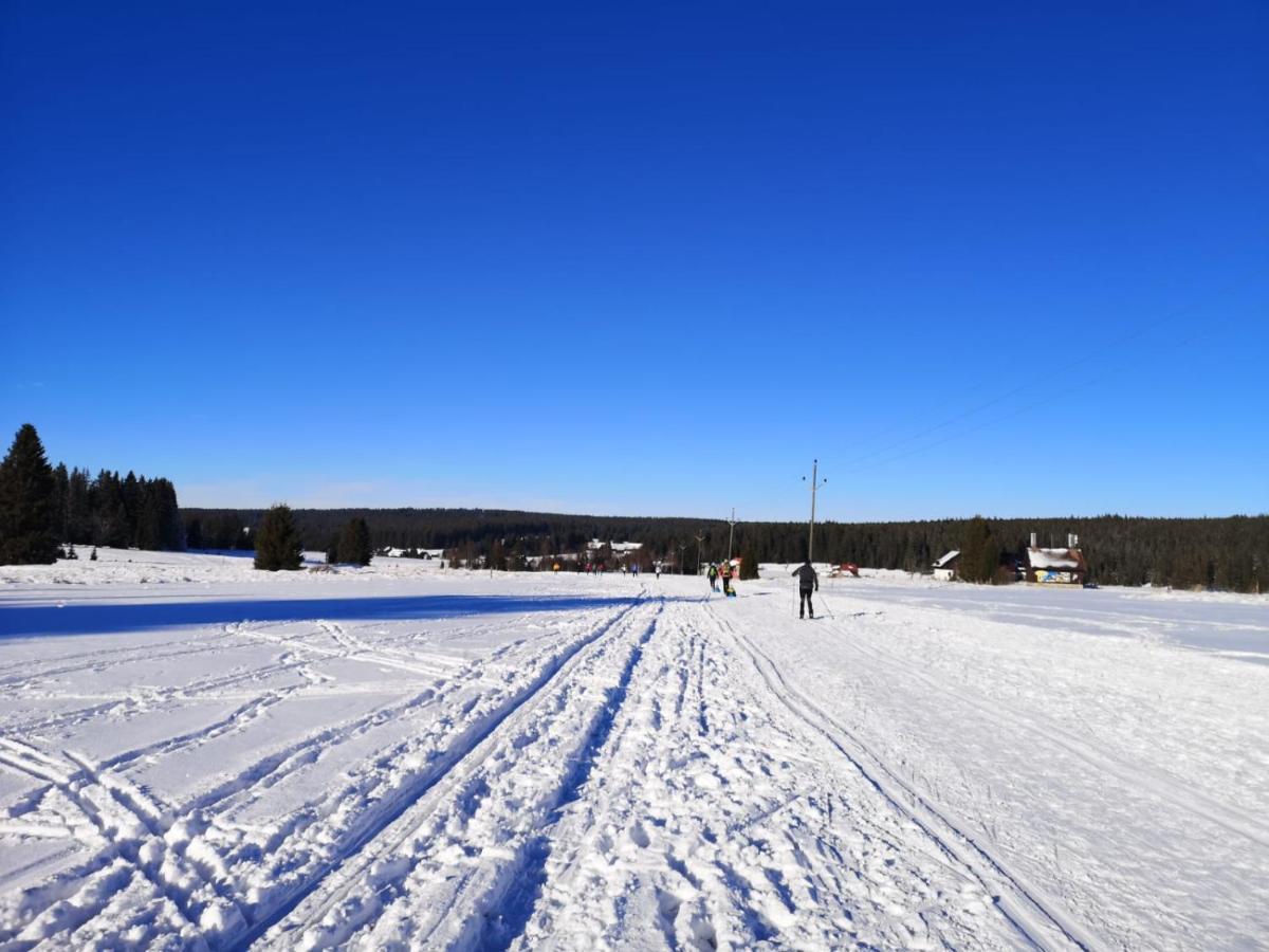 Apartmán Spa Šumava Zdíkov Kültér fotó