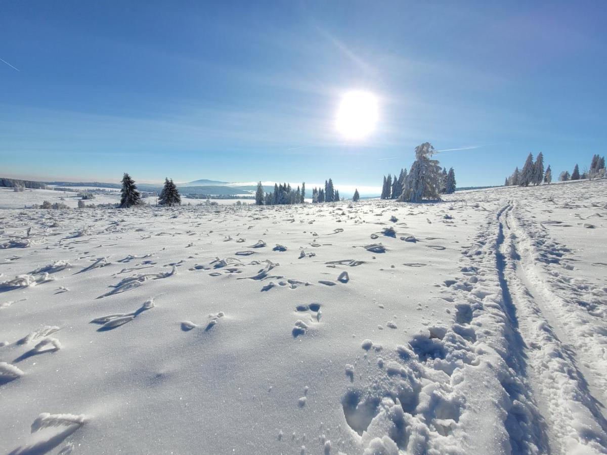 Apartmán Spa Šumava Zdíkov Kültér fotó